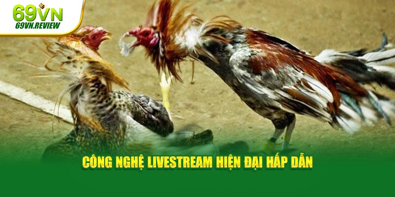 Công nghệ livestream hiện đại hấp dẫn